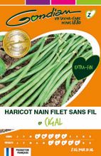 HARICOT NAIN FILET SANS FIL CIGAL 