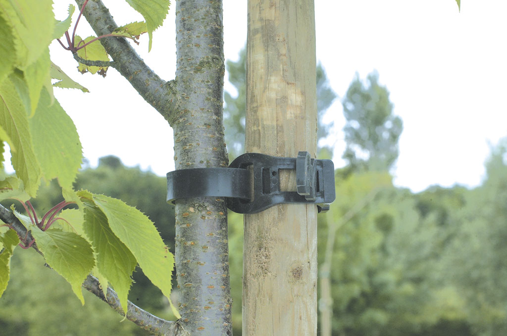 tree tie (collier arbre eva) 0,36 m - NORTENE