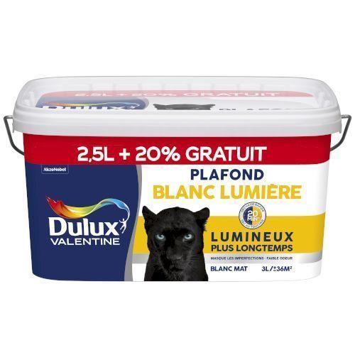 Peinture Plafond Blanc Lumière 2,5L + 20% Blanc Mat