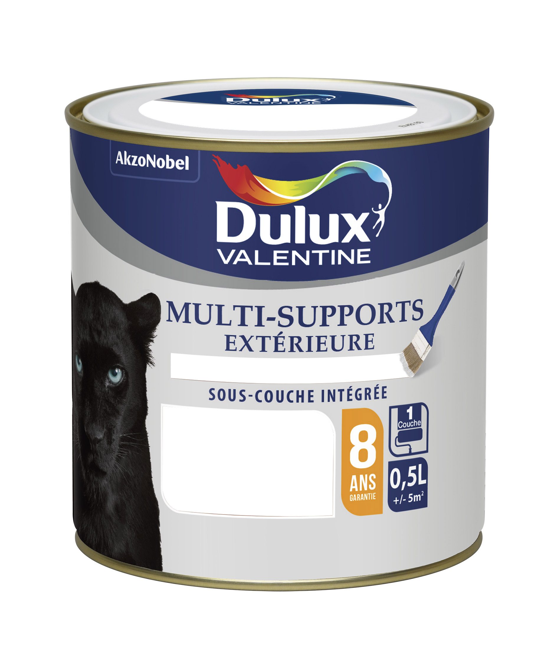 Peinture multisupport extérieure 0,5L Blanc