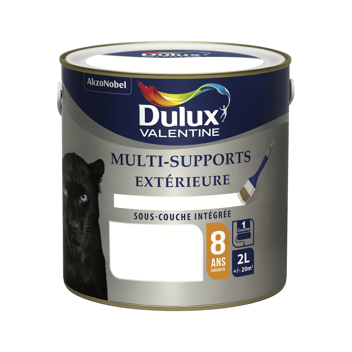 Peinture multisupport extérieure 2L Blanc