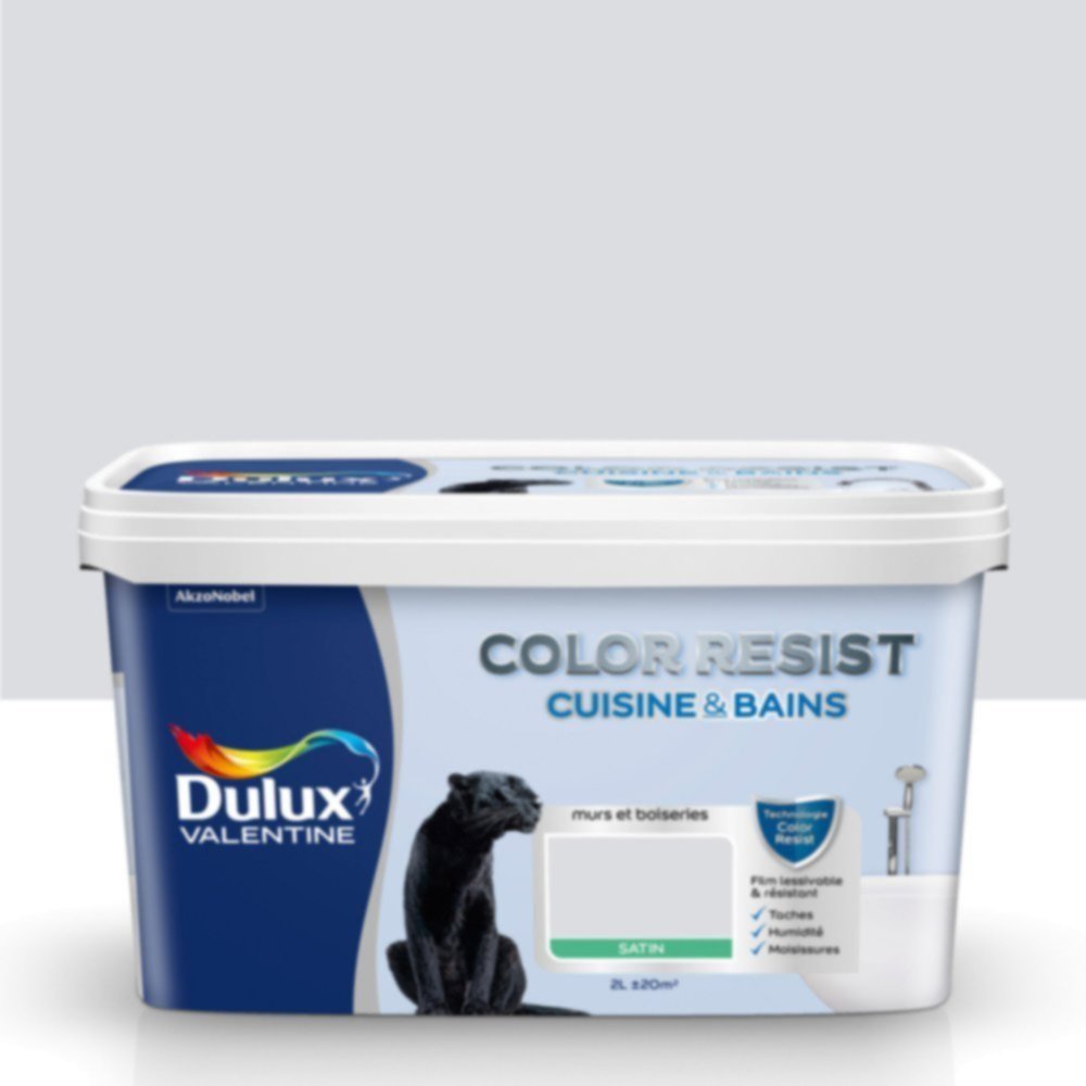 Peinture Pièces Humides Color Resist Cuisine & Bains Gris Tendance Satin 2L - DULUX VALENTINE