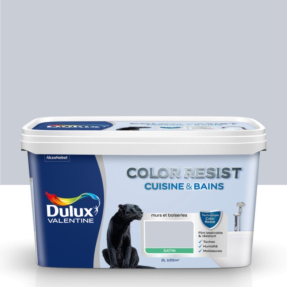 Peinture Pièces Humides Color Resist Cuisine & Bains Hammam Satin 2L - DULUX VALENTINE