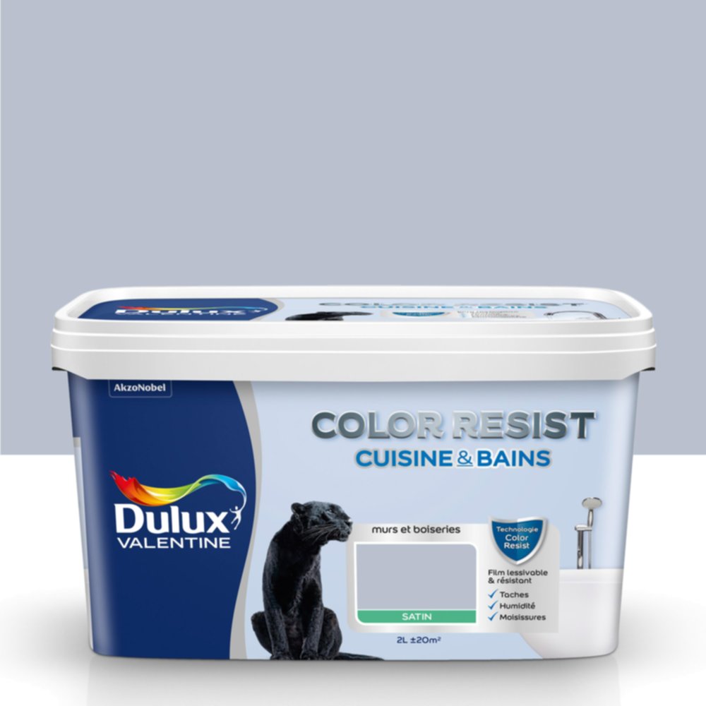 Peinture Pièces Humides Color Resist Cuisine & Bains Galet Poli Satin 2L - DULUX VALENTINE