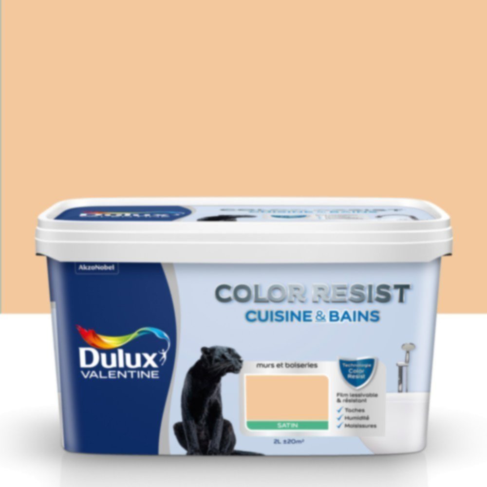 Peinture Pièces Humides Color Resist Cuisine & Bains Nude Satin 2L - DULUX VALENTINE