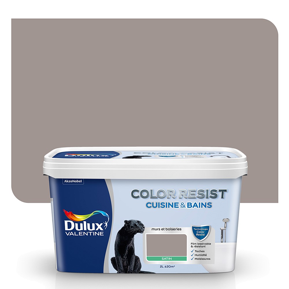 Peinture Color Resist Cuisine & Bains Terre cendrée 2L - satin - DULUX VALENTINE