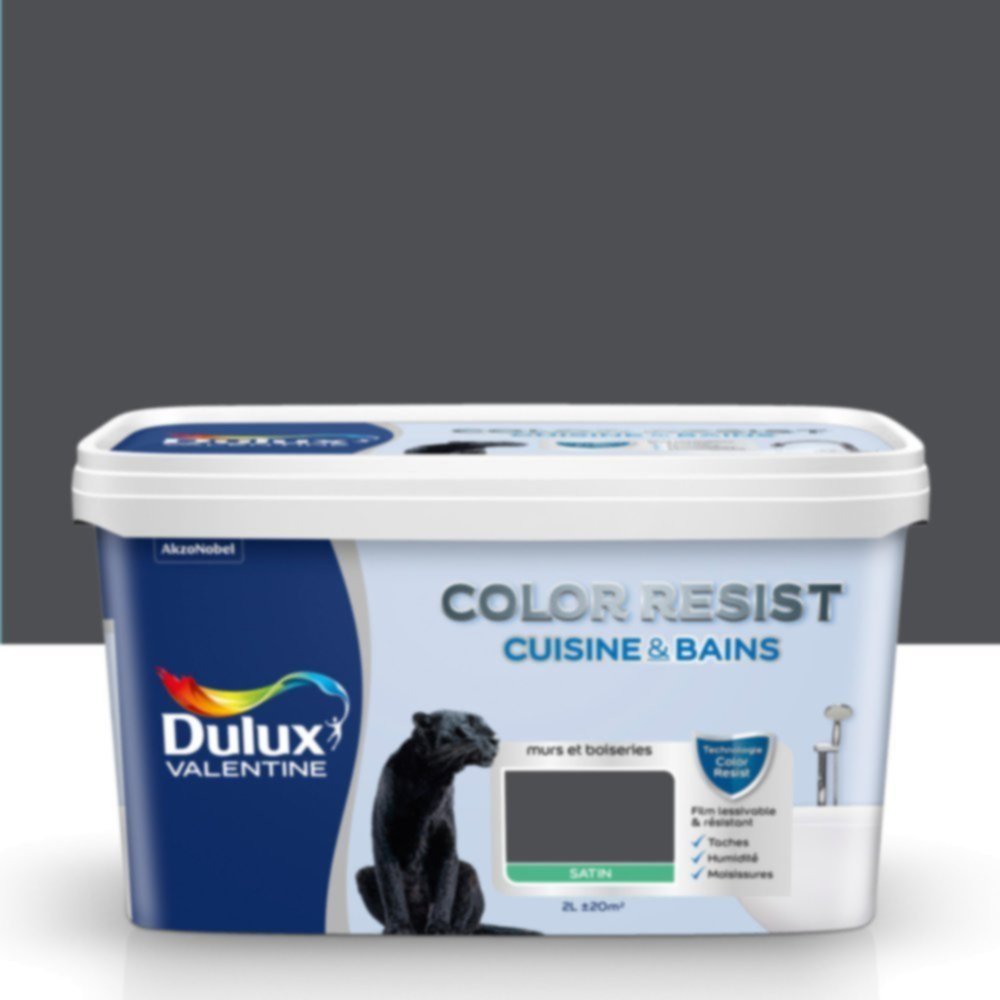 Peinture Pièces Humides Color Resist Cuisine & Bains Smoky Satin 2L - DULUX VALENTINE