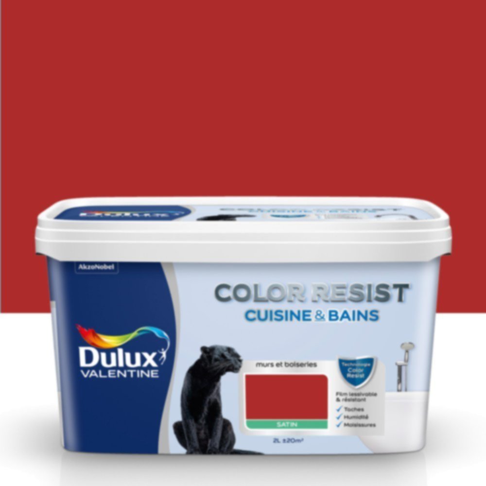 Peinture Pièces Humides Color Resist Cuisine & Bains Rouge Industriel Satin 2L - DULUX VALENTINE