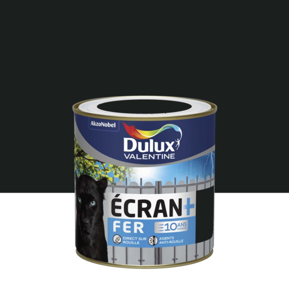 Peinture Ecran+ Fer Noir Brillant 0,5L - DULUX VALENTINE