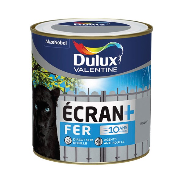 Peinture Ecran + Fer Brillant 0,5L Gris Acier