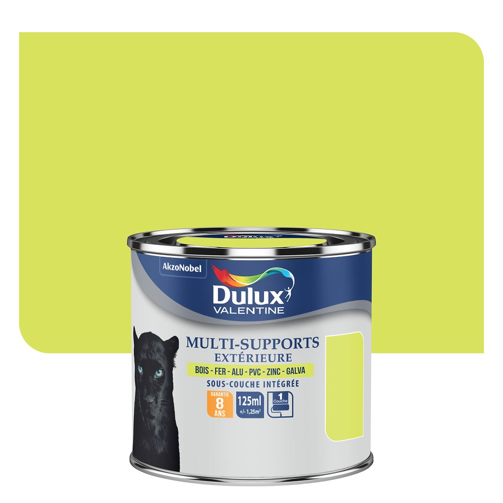 Peinture multi-supports extérieure 0,125L Vert Anis