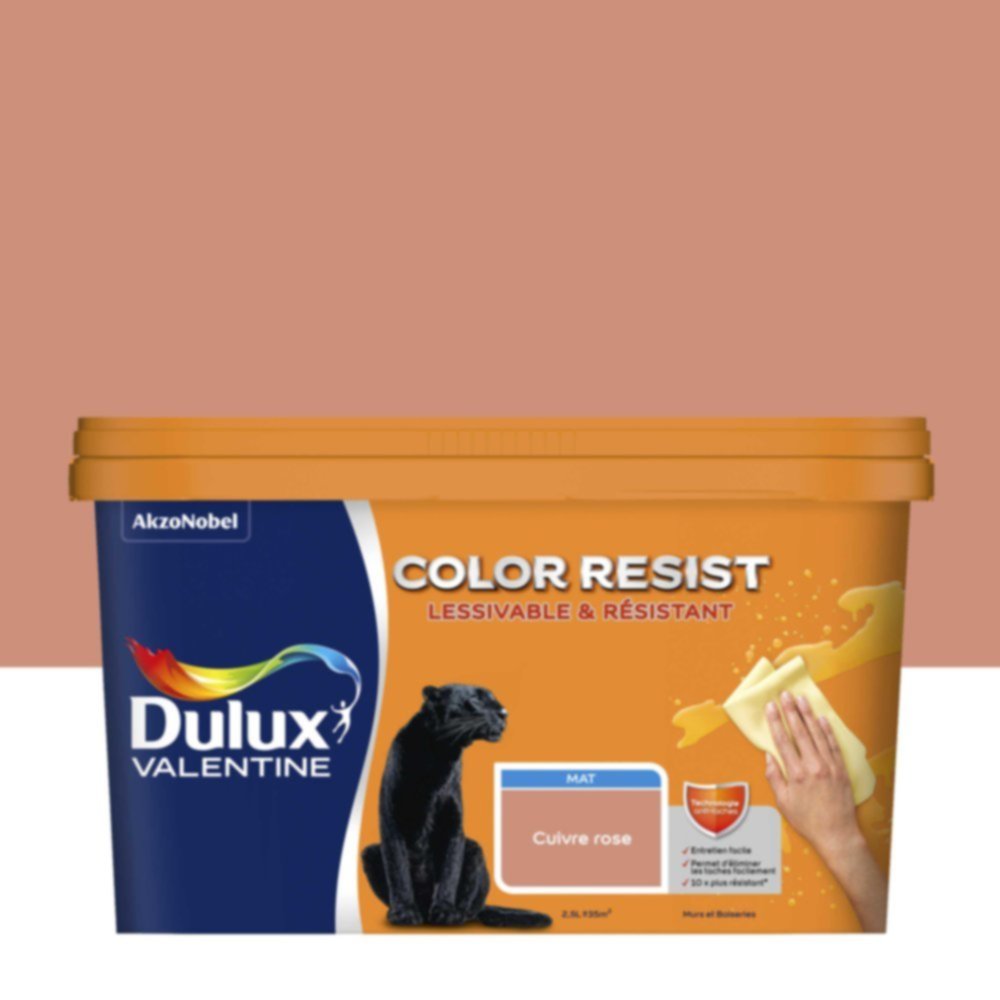 Peinture Murs Plafonds Boiseries Color Resist Cuivre Rose Mat 2,5L - DULUX VALENTINE