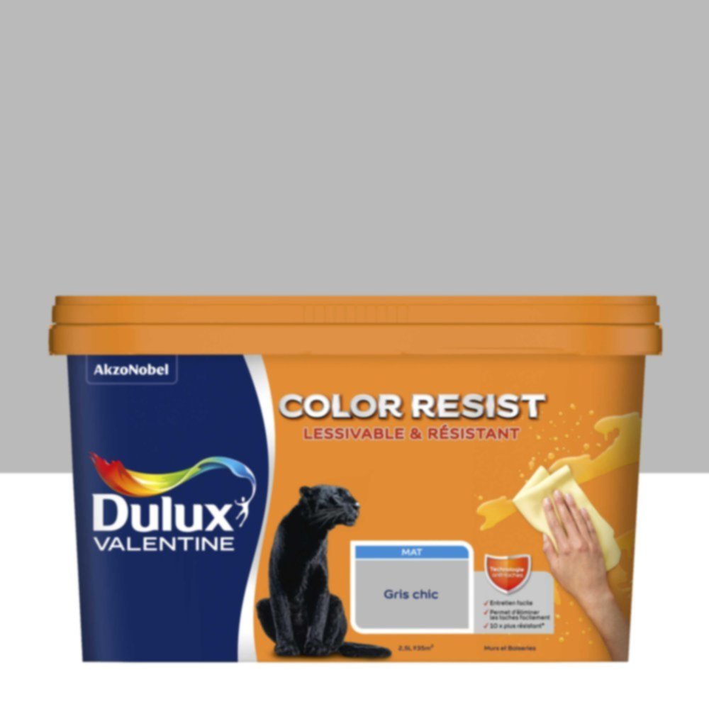 Peinture Murs Plafonds Boiseries Color Resist Gris Chic Mat 2,5L - DULUX VALENTINE