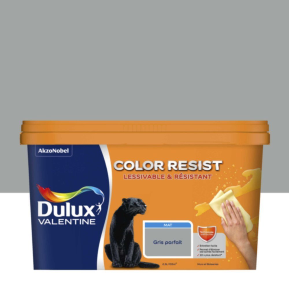 Peinture Murs Plafonds Boiseries Color Resist Gris Parfait Mat 2,5L - DULUX VALENTINE