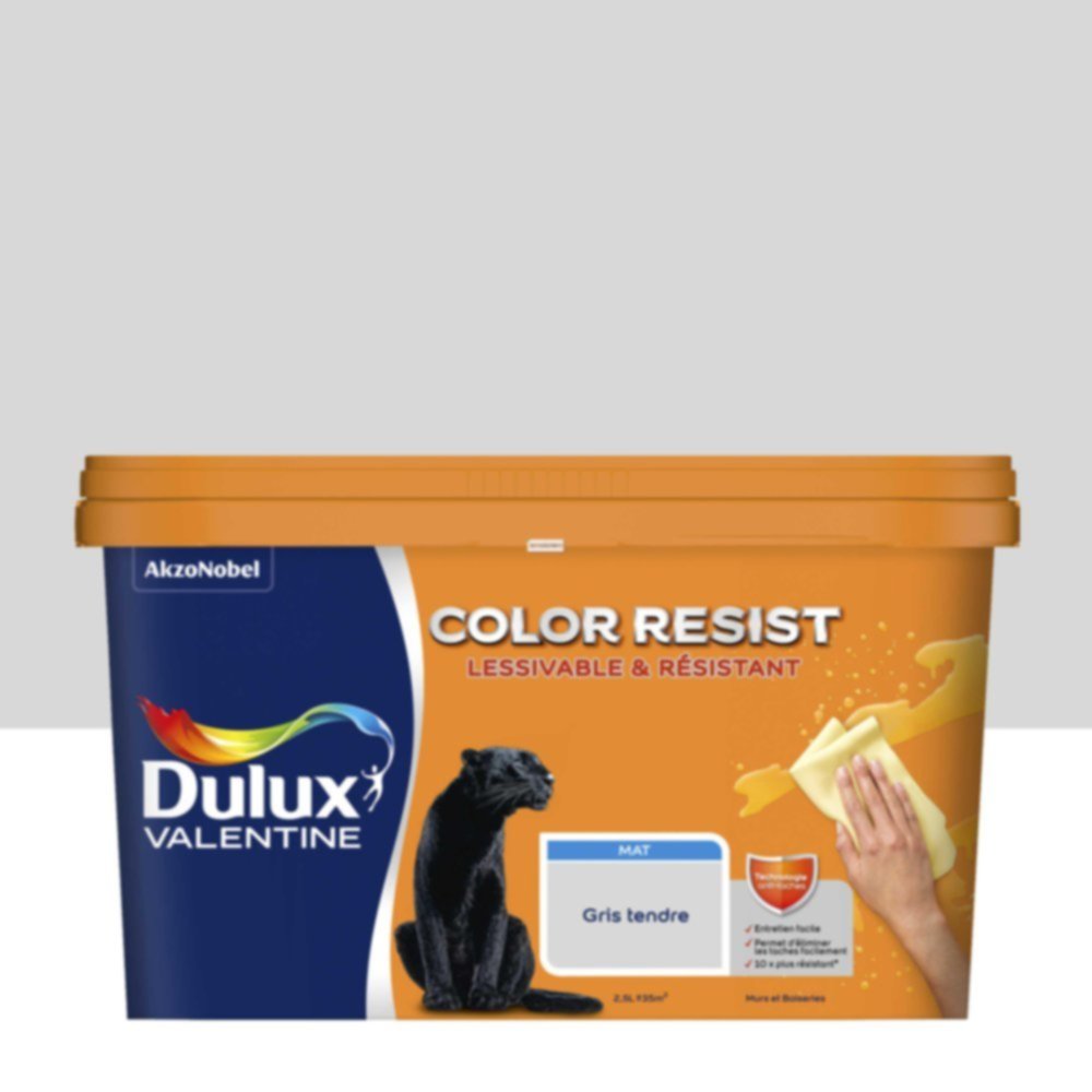 Peinture Murs Plafonds Boiseries Color Resist Gris Tendre Mat 2,5L - DULUX VALENTINE