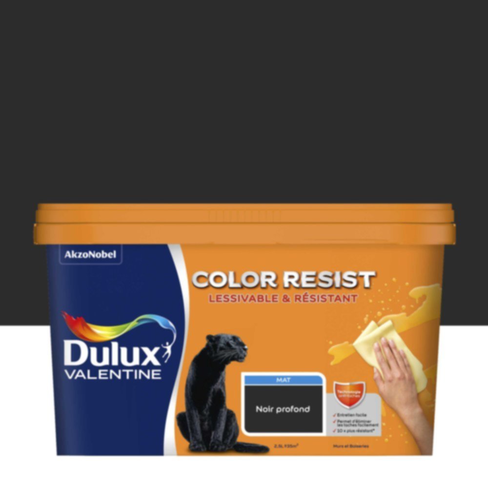 Peinture Murs Plafonds Boiseries Color Resist Noir Profond Mat 2,5L - DULUX VALENTINE