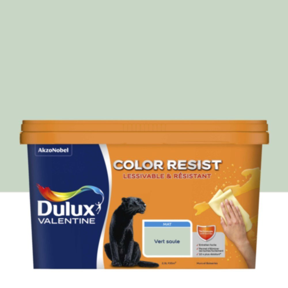 Peinture Murs Plafonds Boiseries Color Resist Vert Saule Mat 2,5L - DULUX VALENTINE