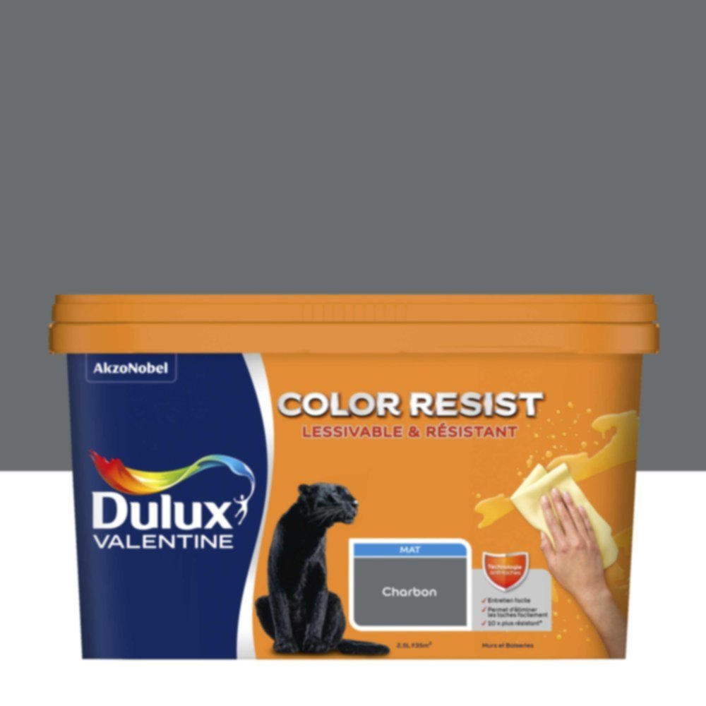 Peinture Murs Plafonds Boiseries Color Resist Charbon Mat 2,5L - DULUX VALENTINE