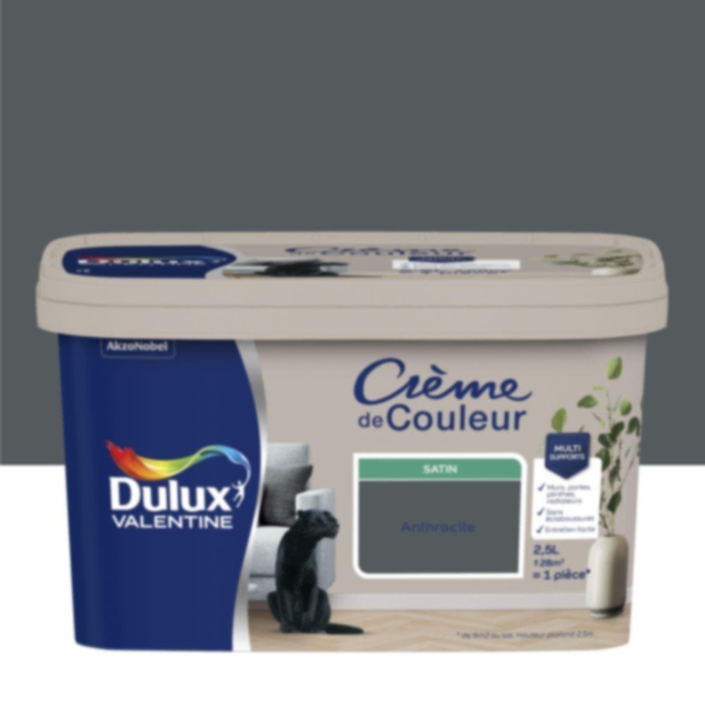 Peinture murs et boiseries Crème de Couleur Satin Anthracite 2,5L - DULUX VALENTINE