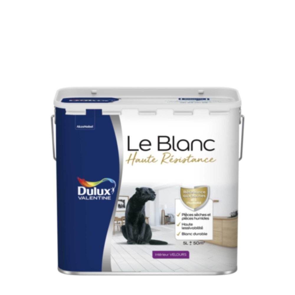 Peinture intérieure Haute Resistance Blanc Velours 5L - DULUX VALENTINE