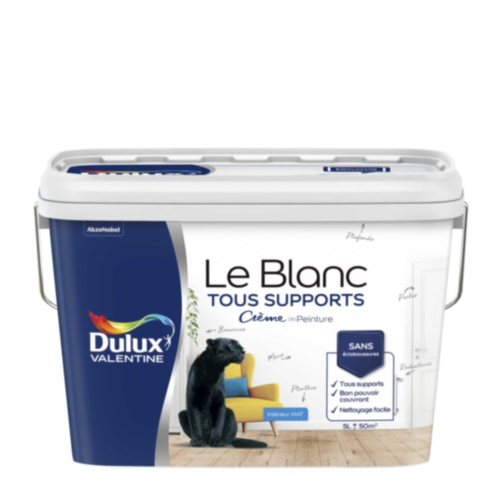 Peinture intérieure Crème de Peinture Blanc Mat 5L - DULUX VALENTINE