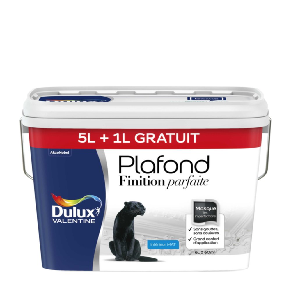 Peinture intérieure Plafond Finition Parfaite Blanc Mat 5L + 1 L - DULUX VALENTINE