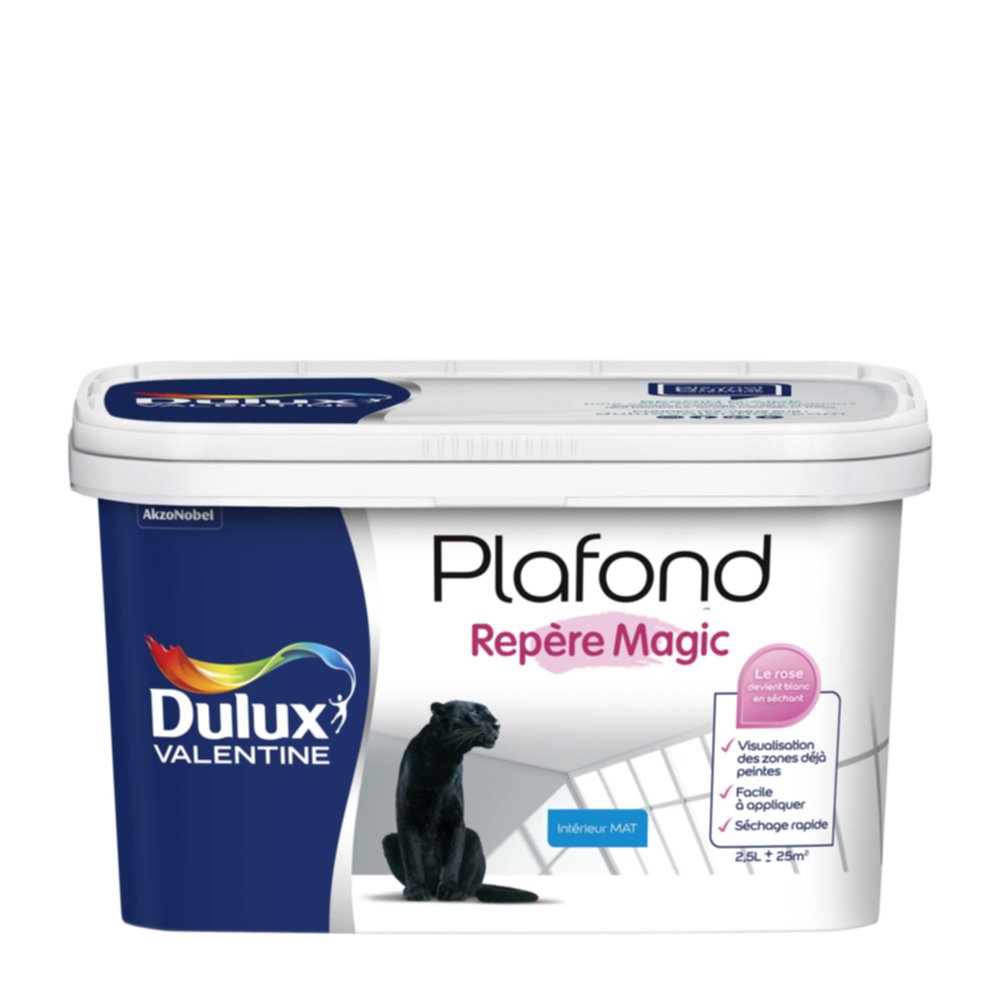 Peinture intérieure Plafond Magic Blanc Mat 2,5L - DULUX VALENTINE