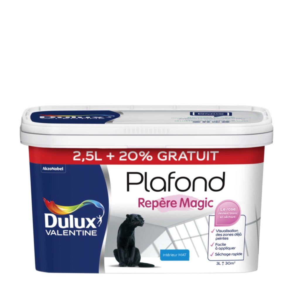 Peinture intérieure Plafond Magic Blanc Mat 2,5L + 20% - DULUX VALENTINE