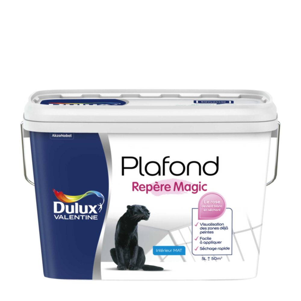 Peinture intérieure Plafond Magic Blanc Mat 5L - DULUX VALENTINE