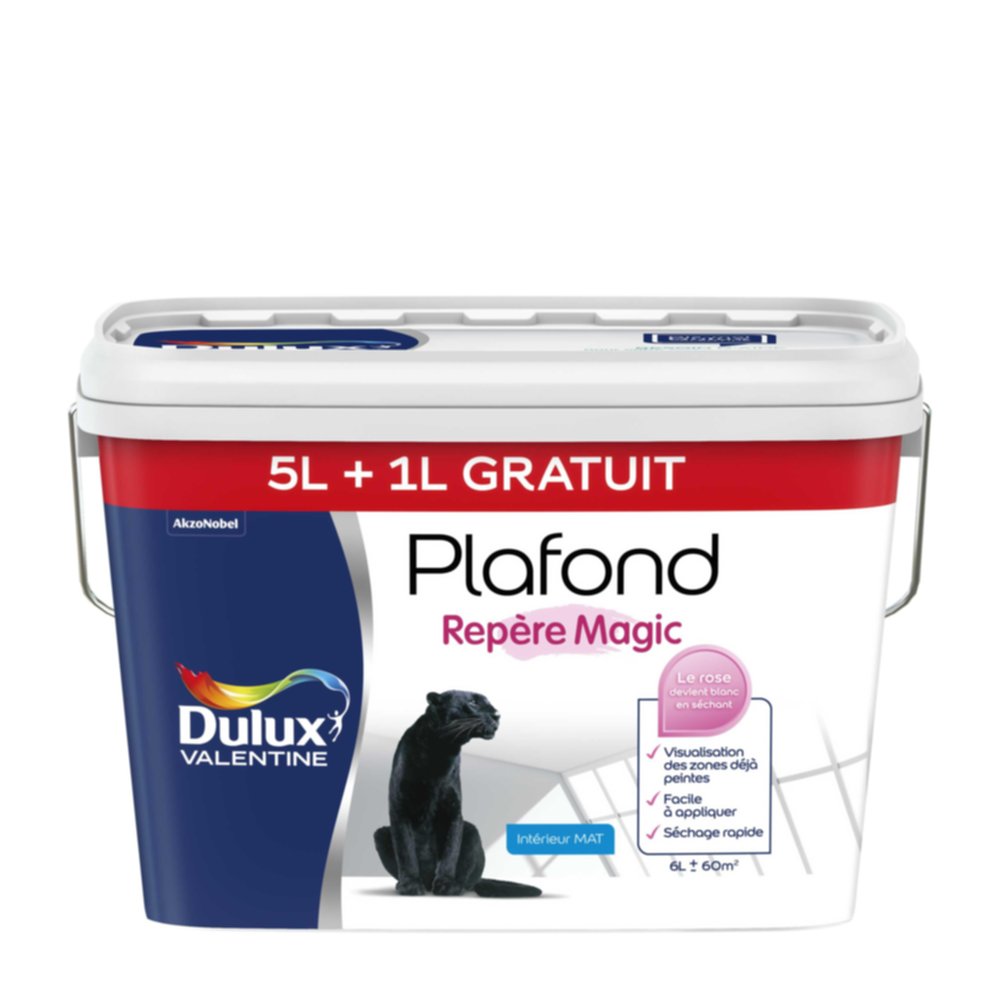 Peinture intérieure Plafond Magic Blanc Mat 5L + 1 L - DULUX VALENTINE