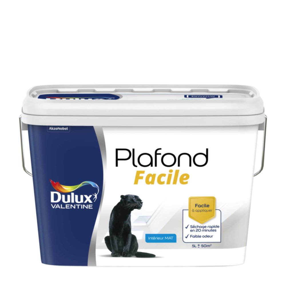 Peinture intérieure Plafond Facile Blanc Mat 5L - DULUX VALENTINE