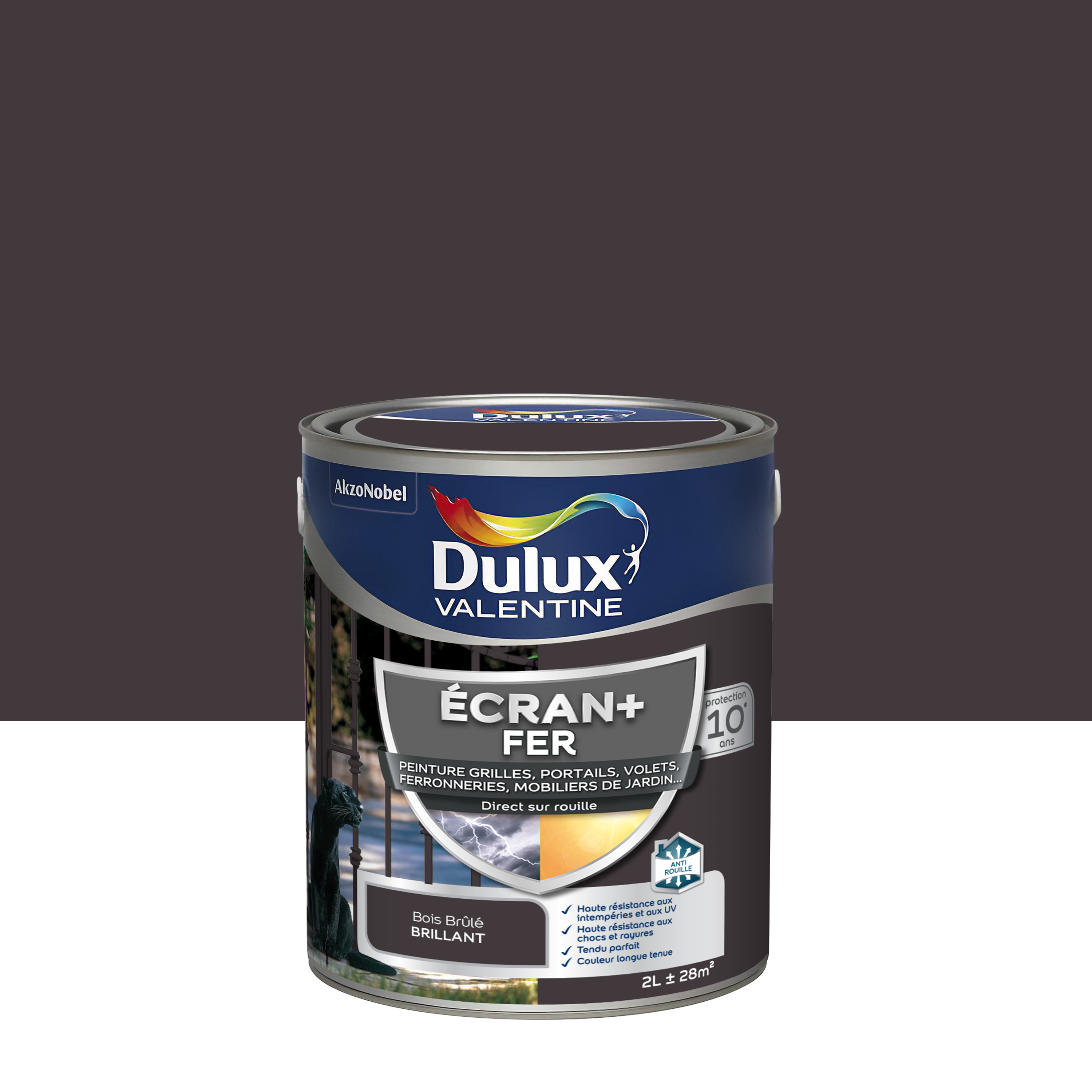 Peinture écran+ fer 2 l bois brûlé