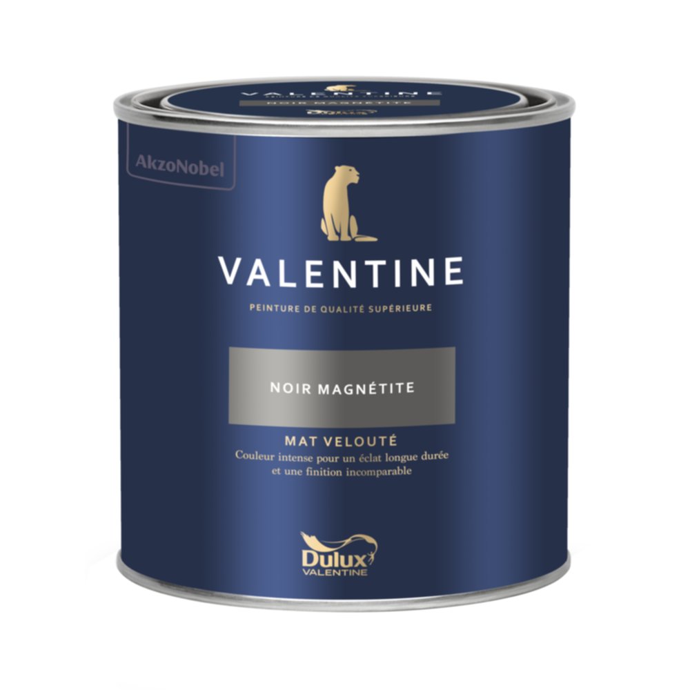 Peinture Valentine Mat Velouté Noir Magnétite 0,5L- DULUX VALENTINE