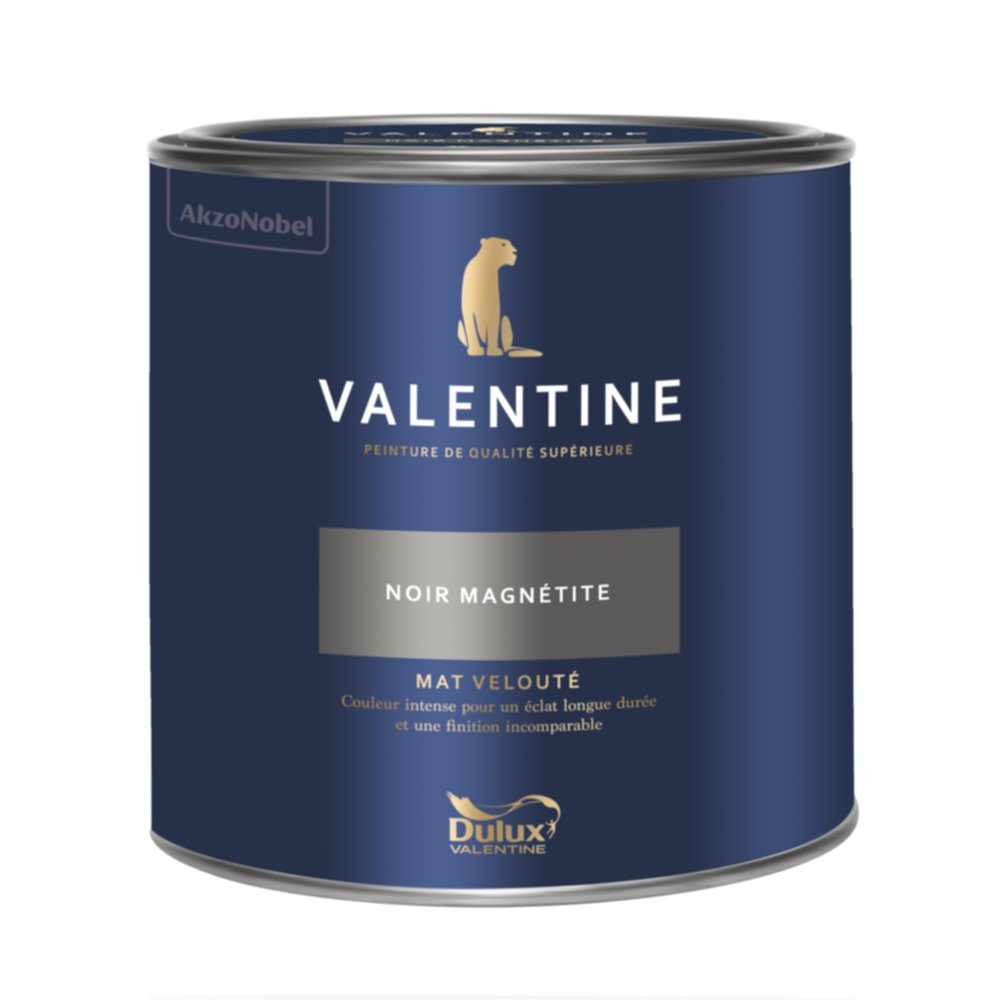 Peinture Valentine Mat Velouté Noir Magnétite 2L- DULUX VALENTINE