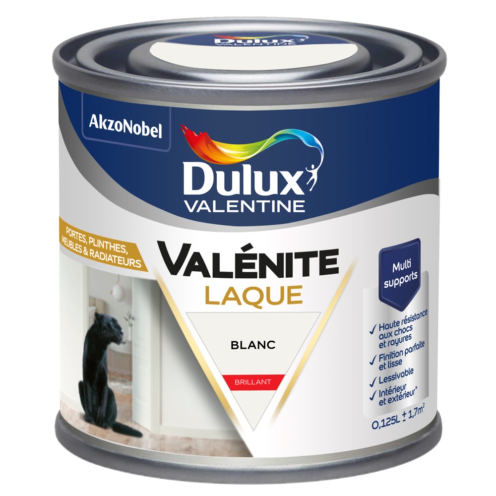 Peinture Boiseries Laque Acrylique Valénite Blanc Brillant 125ml - DULUX VALENTINE