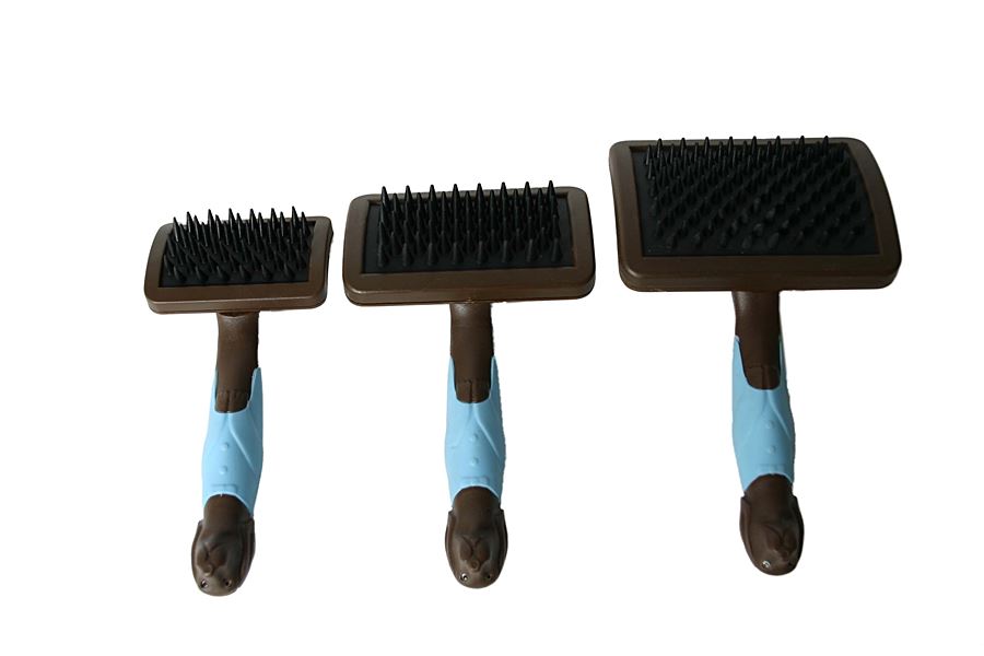 Brosse massage gm