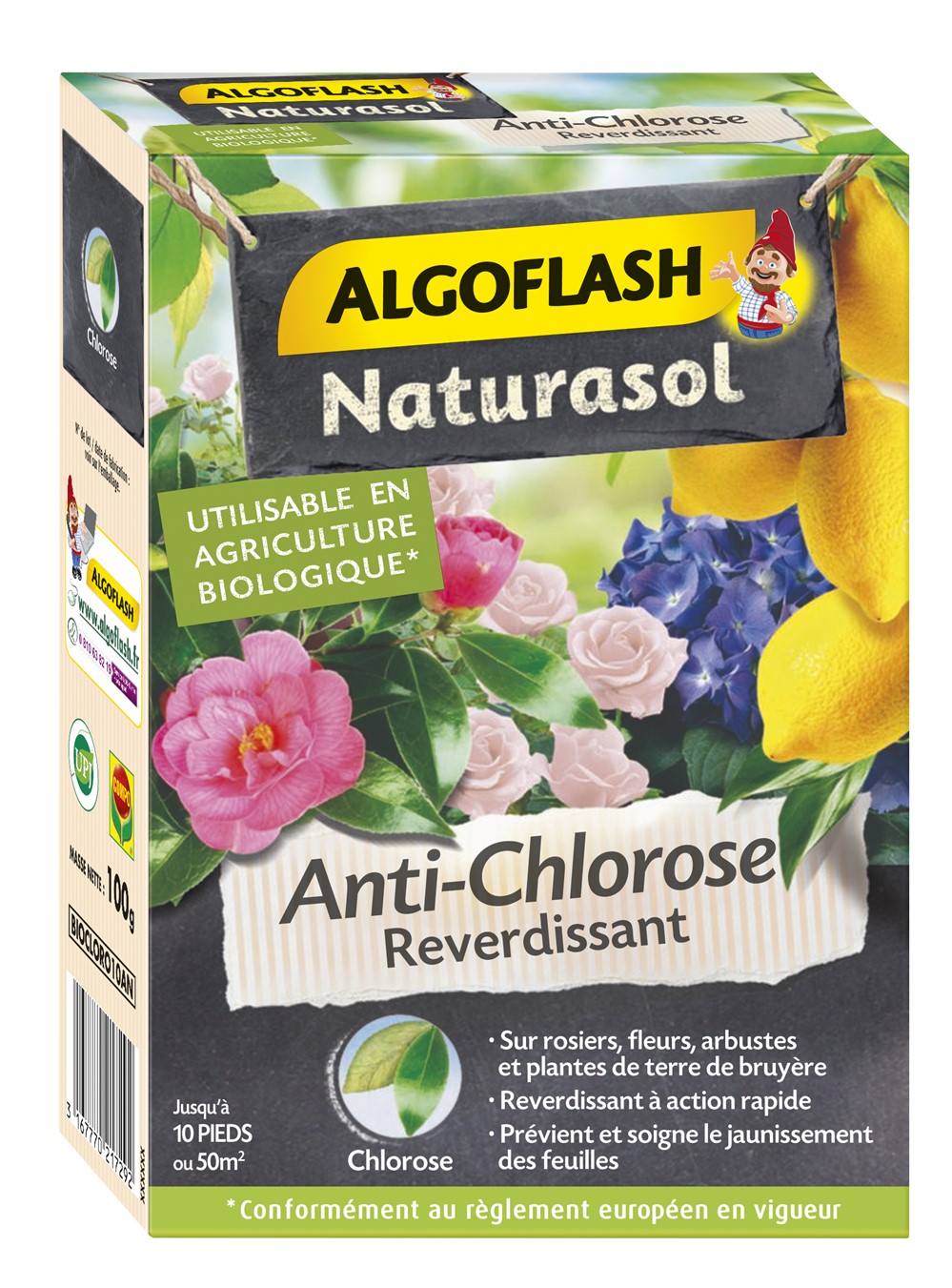 Anti-Chlorose Reverdissant 100gr