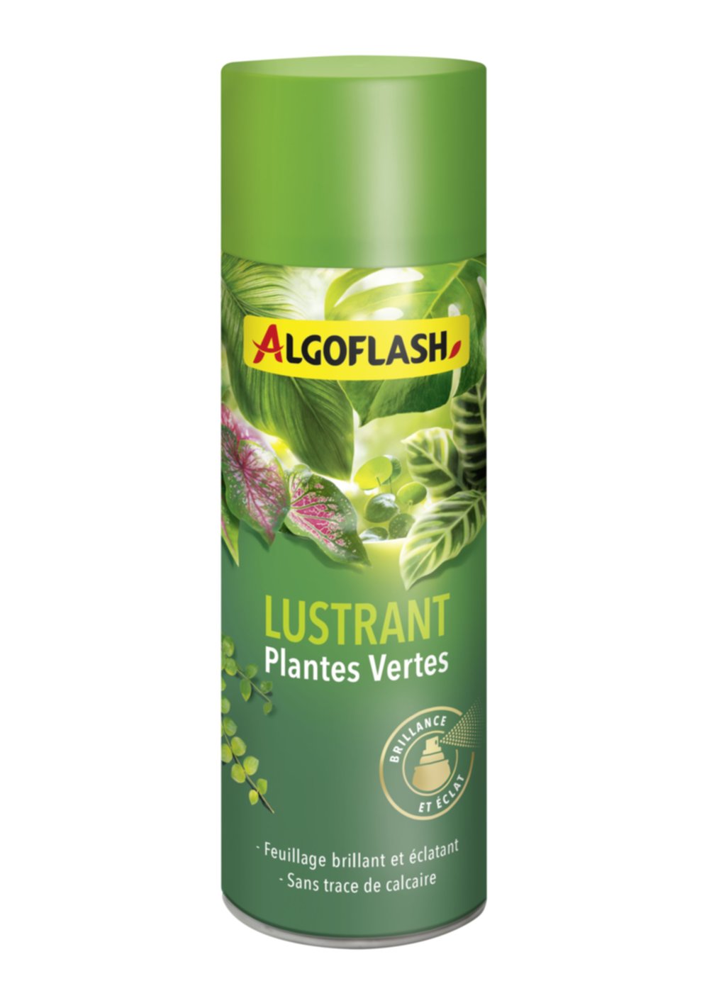 Lustrant Plantes Vertes 250ml