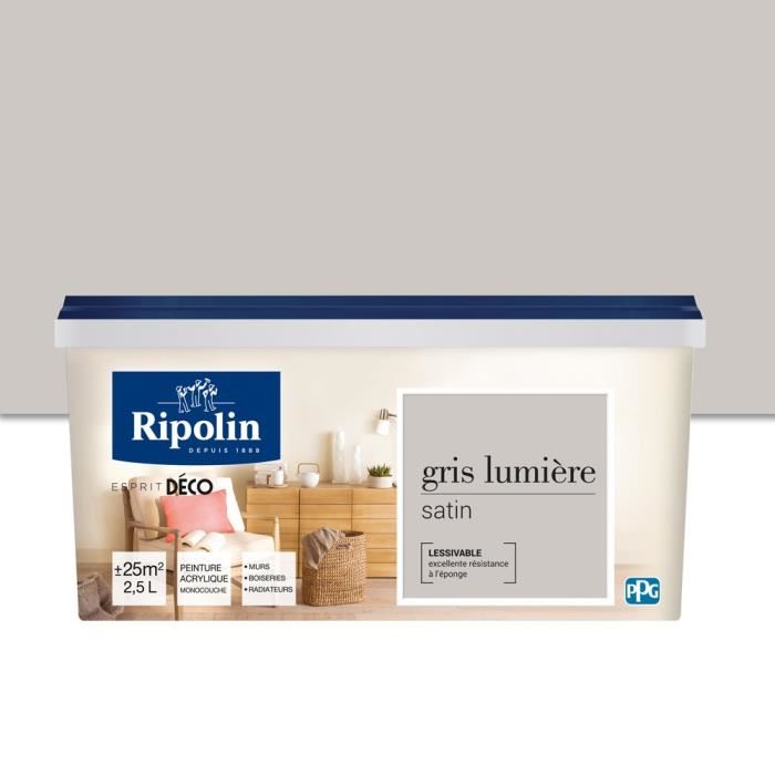 Peinture Esprit Déco multisupport gris lumière 2,5L - RIPOLIN