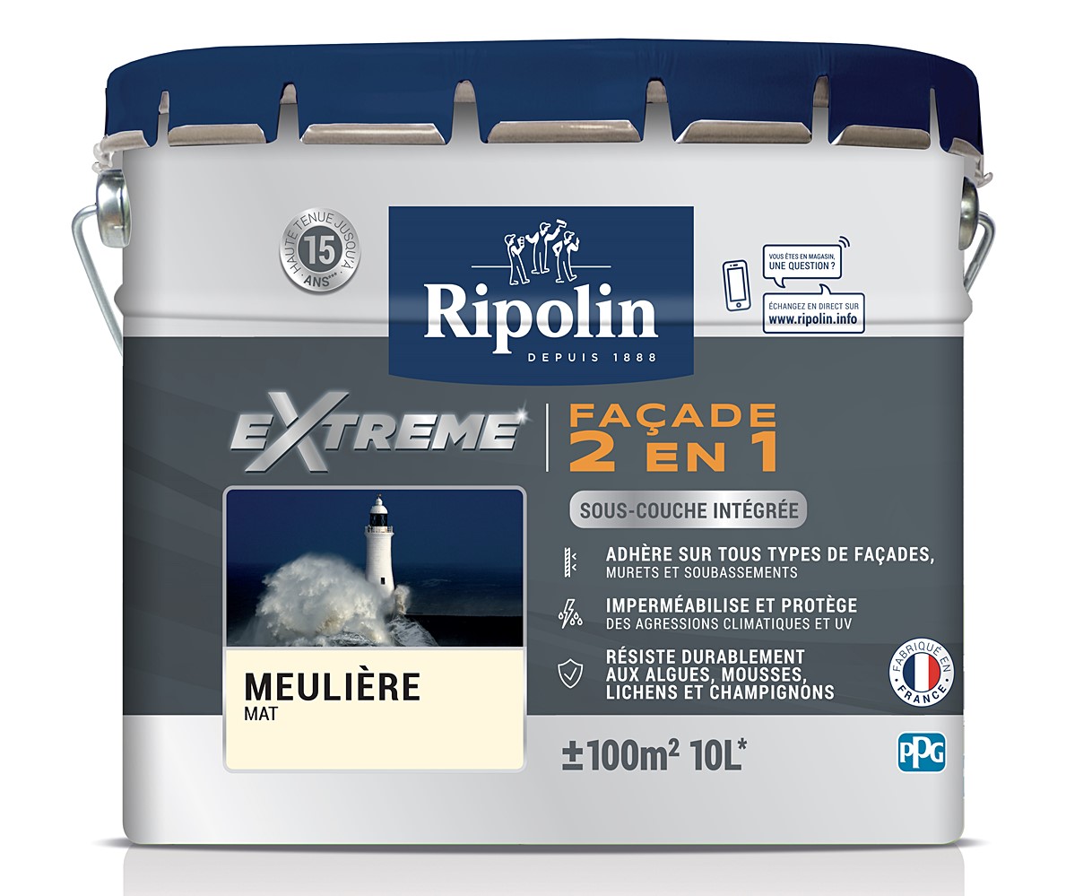 Protection Extreme Facade Meuliere Mat 10L RIPOLIN