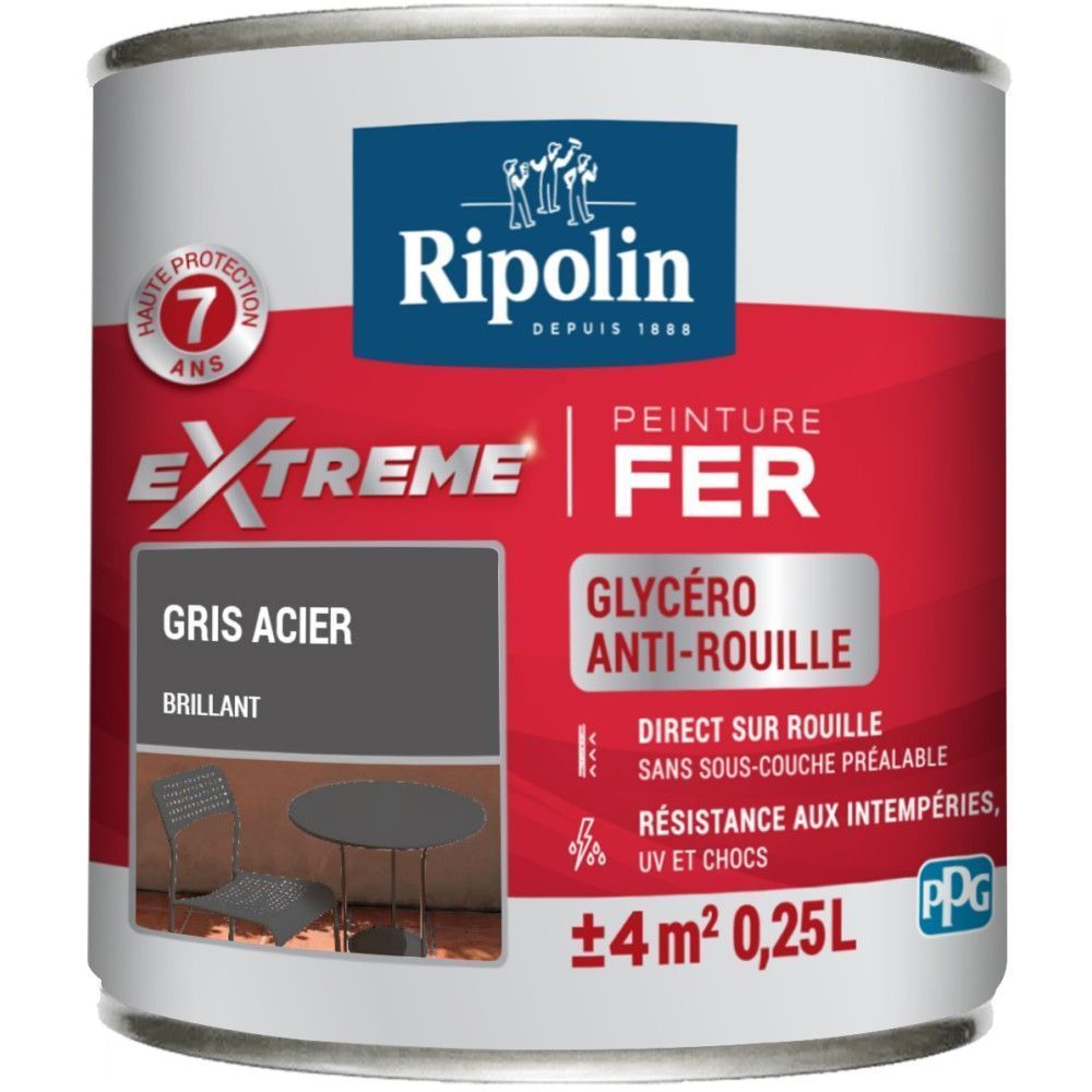 Peinture Extrême fer 0,25L brillant gris acier RIPOLIN