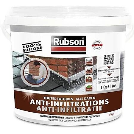 Anti-infiltrations Toutes Toitures 1 kg blanc - RUBSON