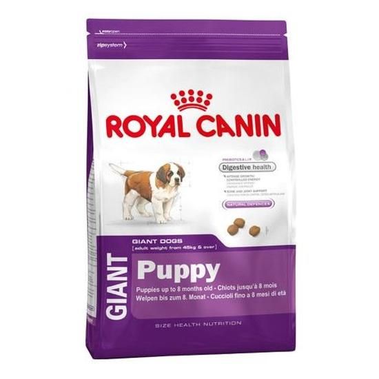 Croquettes Chiot Giant Puppy 4Kg ROYAL CANIN