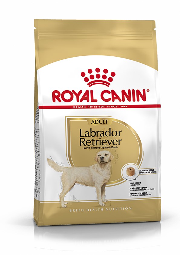 Croquette chien Labrador adult 12kg - ROYAL CANIN