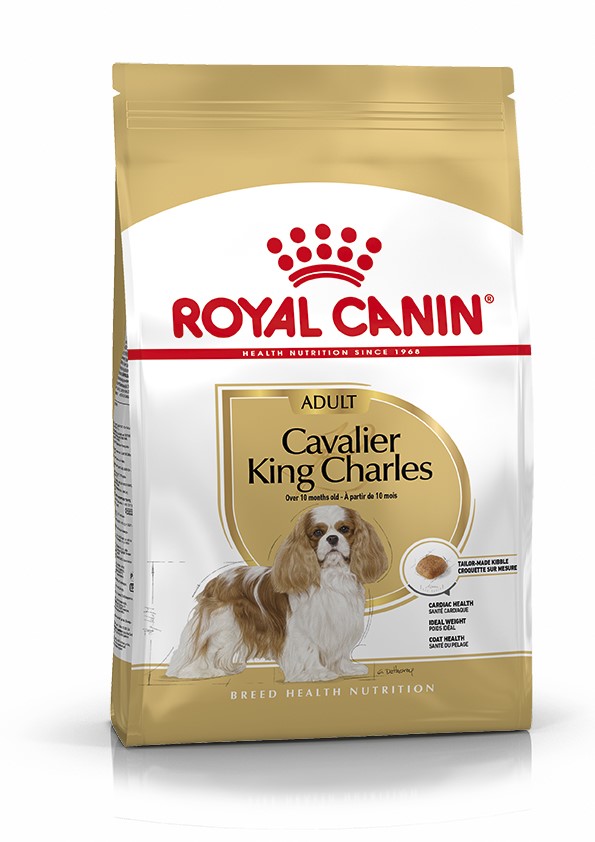 Croquette chien cavalier king charles adult 3kg - ROYAL CANIN