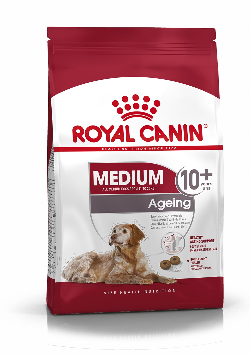 Croquette Chien Medium Ageing 10+ 3kg - ROYAL CANIN