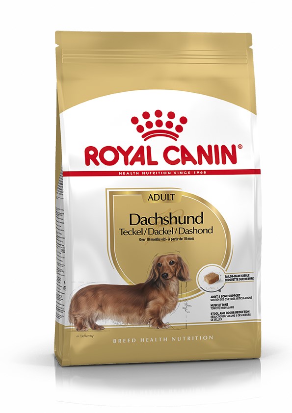 Croquette Chien Dachshund Adult 7,5kg - ROYAL CANIN