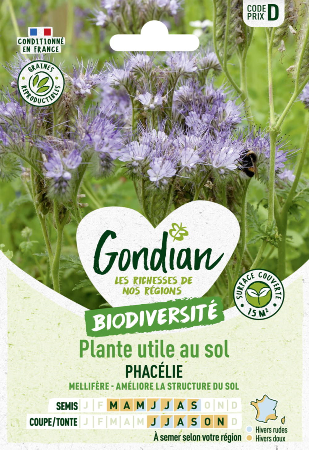 Plantes utiles au sol - Phacélie - GONDIAN