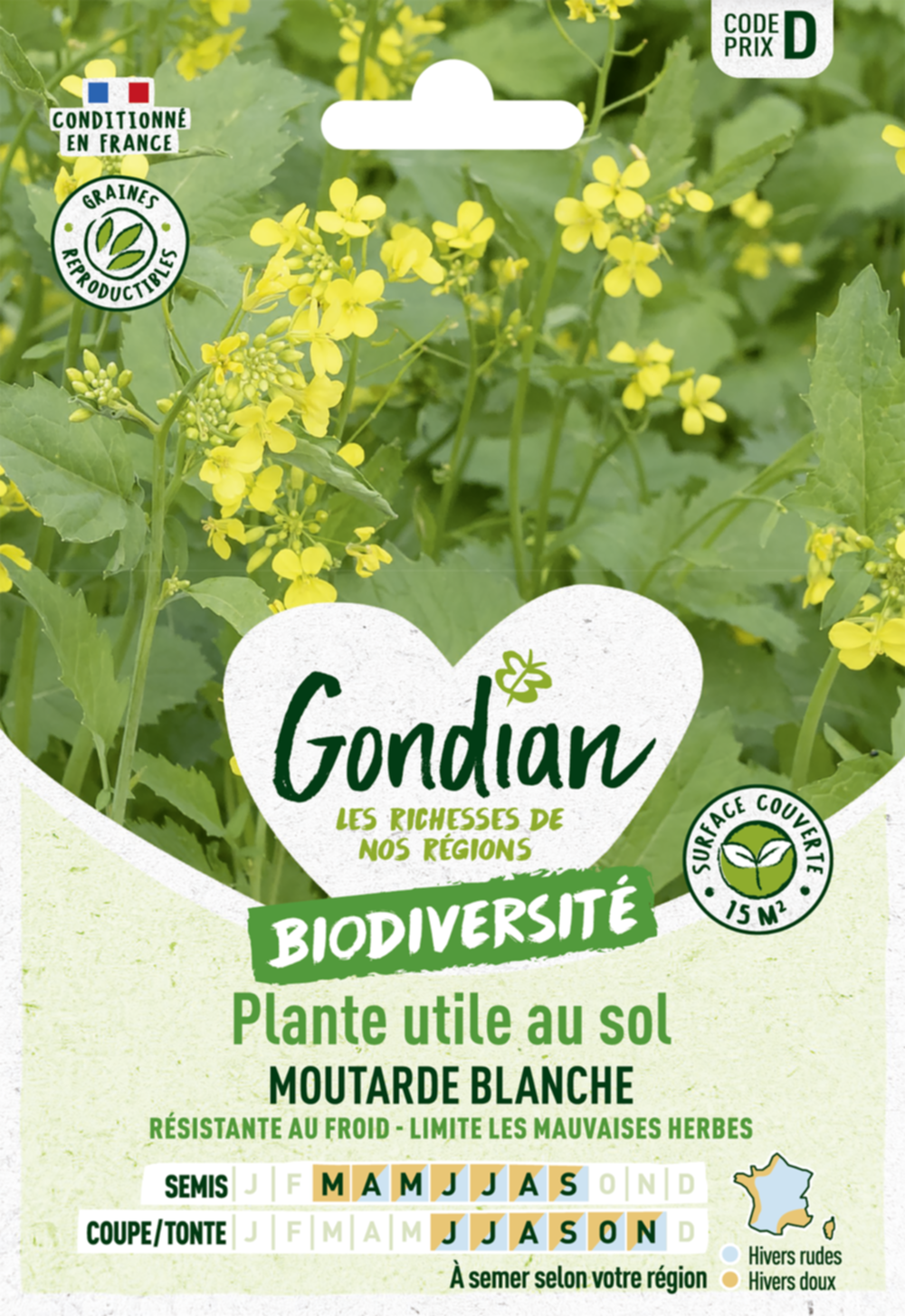 Plantes utiles au sol - Moutarde Blanche - GONDIAN