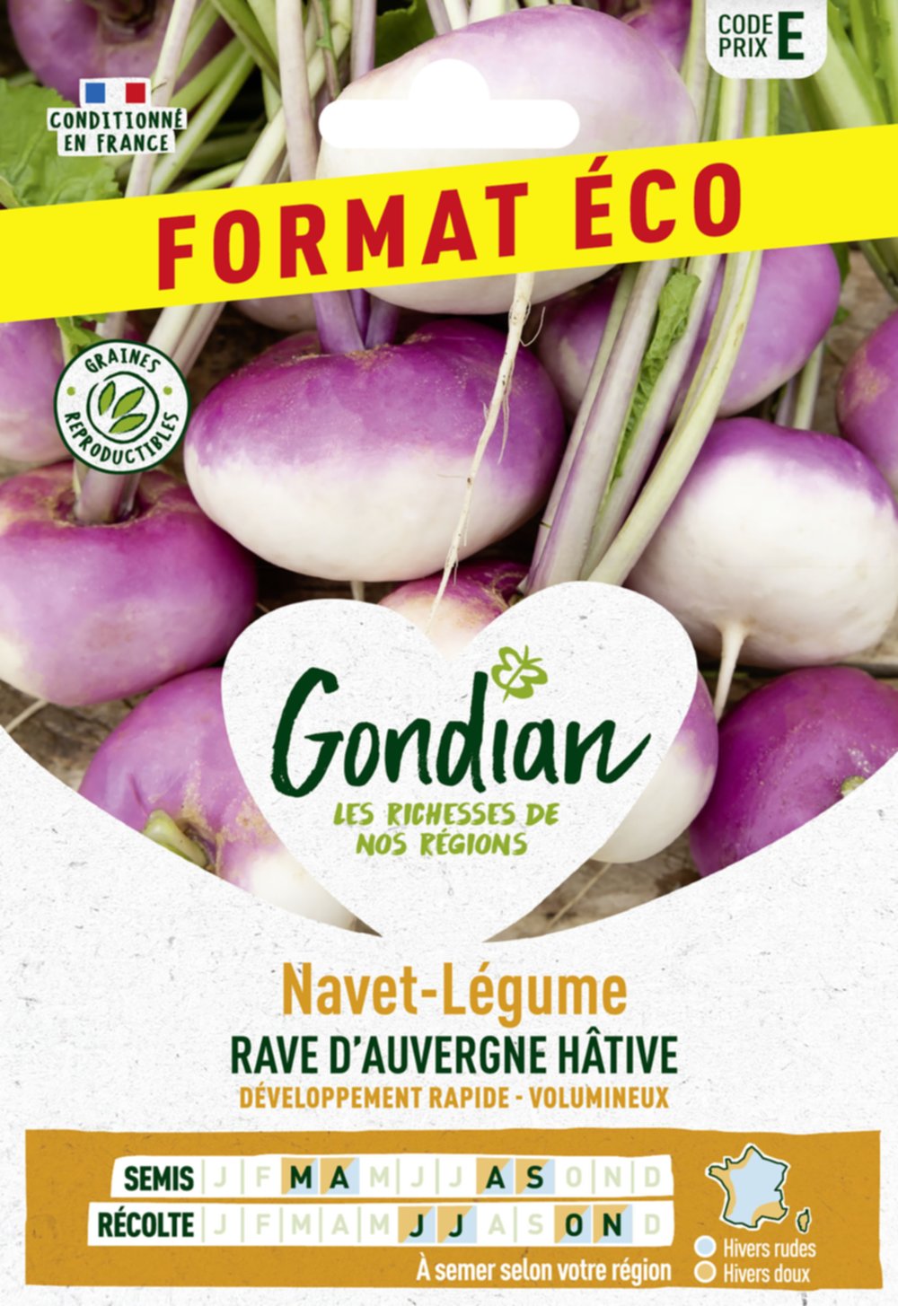 Navet-Légume Rave d'Auvergne Hâtive - GONDIAN